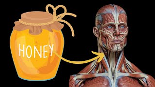 What Happens to Your Body When You Start Eating Honey Every Day | Incredible Benefits of Honey