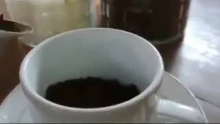 Lagu kopi versi sunda sholawat bikin ngakak