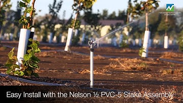 Irrigating Hazelnut trees with the Nelson R10 Rotator® Sprinkler