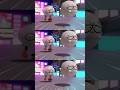 HALVES – “Werther (Korean Ver.)” 3D MV Out Now