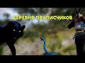 ДЕРЕВНЯ ПОДПИСЧИКОВ ПРОТИВ ЗЕРГАЧА🔥 СТРИМ,ВЫЖИВАЕМ В РАСТ RUST