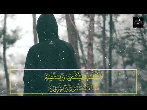 قصيدة القلب الحزين من ديوان ضواحي المدينة شعر وإلقاء الشاعر أحمد الروبي