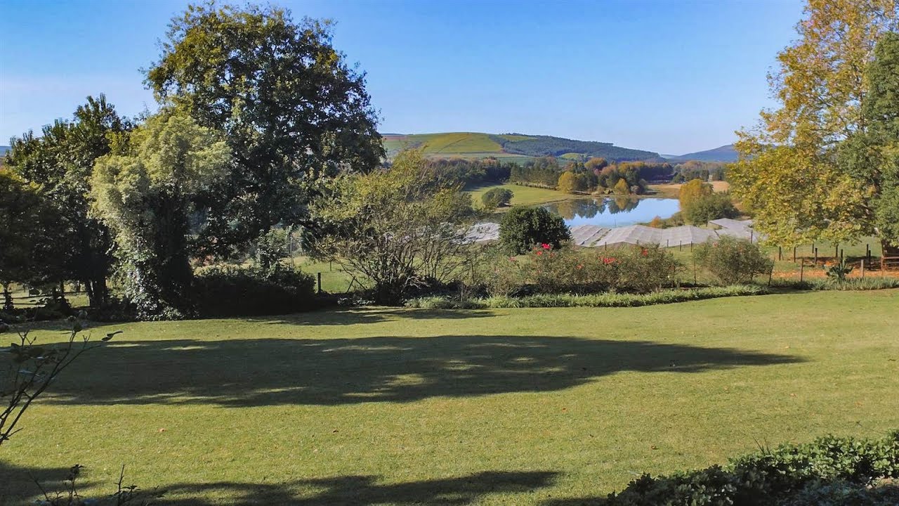 25.8 ha farm for sale in Kwazulu Natal | Drakensberg | Richmond And Surrounds | Richmon |