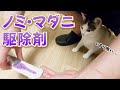 薬を怖がる猫へのノミ・マダニ駆除剤のやり方【スポット剤】