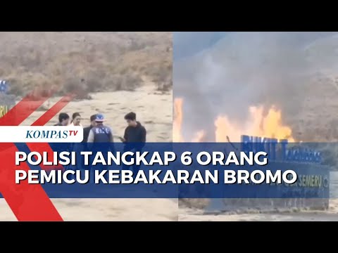 Flare Preweddding Diduga Jadi Penyebab Kebakaran Bukit Teletubbies Bromo, 6 Orang Kini Diperiksa!