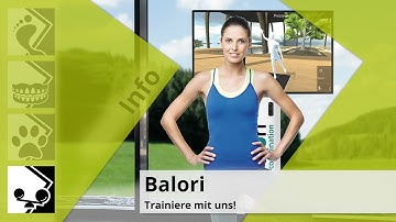 zebris balori® e-coordination - Funktionelles Koordinationstraining mit System