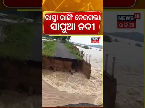ରାସ୍ତା ଧୋଇନେଇଲା ସାପୁଆ ନଦୀ | Odisha Flood News | Sapua River Overflow Cuts Off Villages | Odisha Rain