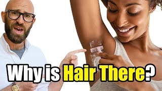 Why Do Humans Still Have Pubic And Armpit Hair When Weve Lost Most Of The Rest?
