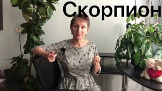 🔴Скорпион - Август 2020