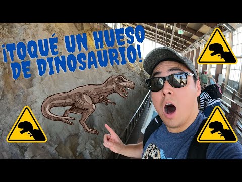 I TOUCHED A HUGE DINOSAUR BONE AND VISITED DINOSAUR NATIONAL MONUMENT!!!