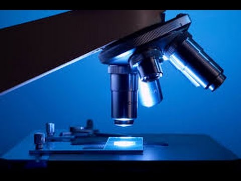 microscope slide diy for kids national geography microscope diy