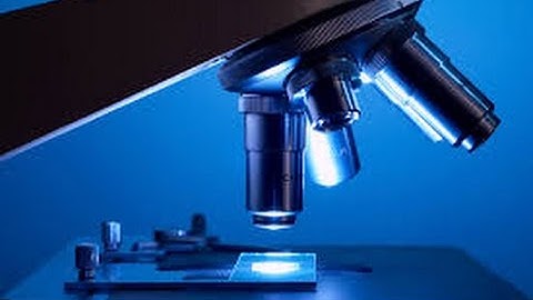 Microscope slide diy for kids national geography microscope diy microscope slide diy s kids science