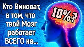 Деградация мозга у тебя уже началась! Как улучшить работу мозга и НЕ отупеть к 40 годам?