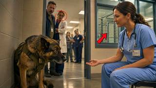 Full A Nurse Was Asked to Visit a Retired K9 Shelter Until She Found Terrified K9 Hiding in a Corner Guide