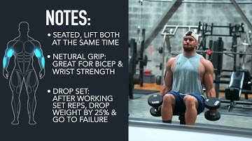 Hammer Curl - Drop Set