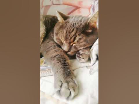кто?? - YouTube