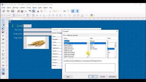 Les formulaires avec Libre Office Base