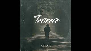 Kar5x45 - Tarinere // Տարիները // 2022 ( Official Audio )