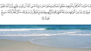 ايات من سورة التوبة بصوت ادريس ابكر
