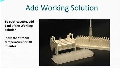 Biotin quantitation with QuantTag Kit from Vector Laboratories