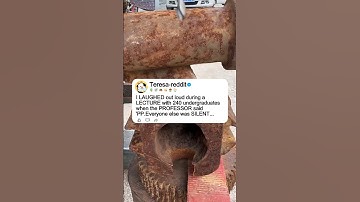 I LAUGHED out loud during a LECTURE with 240 undergraduates when the PROFESSOR said