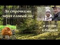 Грибы строчки. Весенний поход в дикий лес.