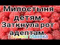 Деревенский дневник очень многодетной мамы /Милостыня детям/Заткнула рот адептам /Обзор Влогов /