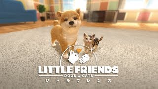 Little Friends: Dogs and Cats - Nintendo Switch | Wie gut ist es wirklich?