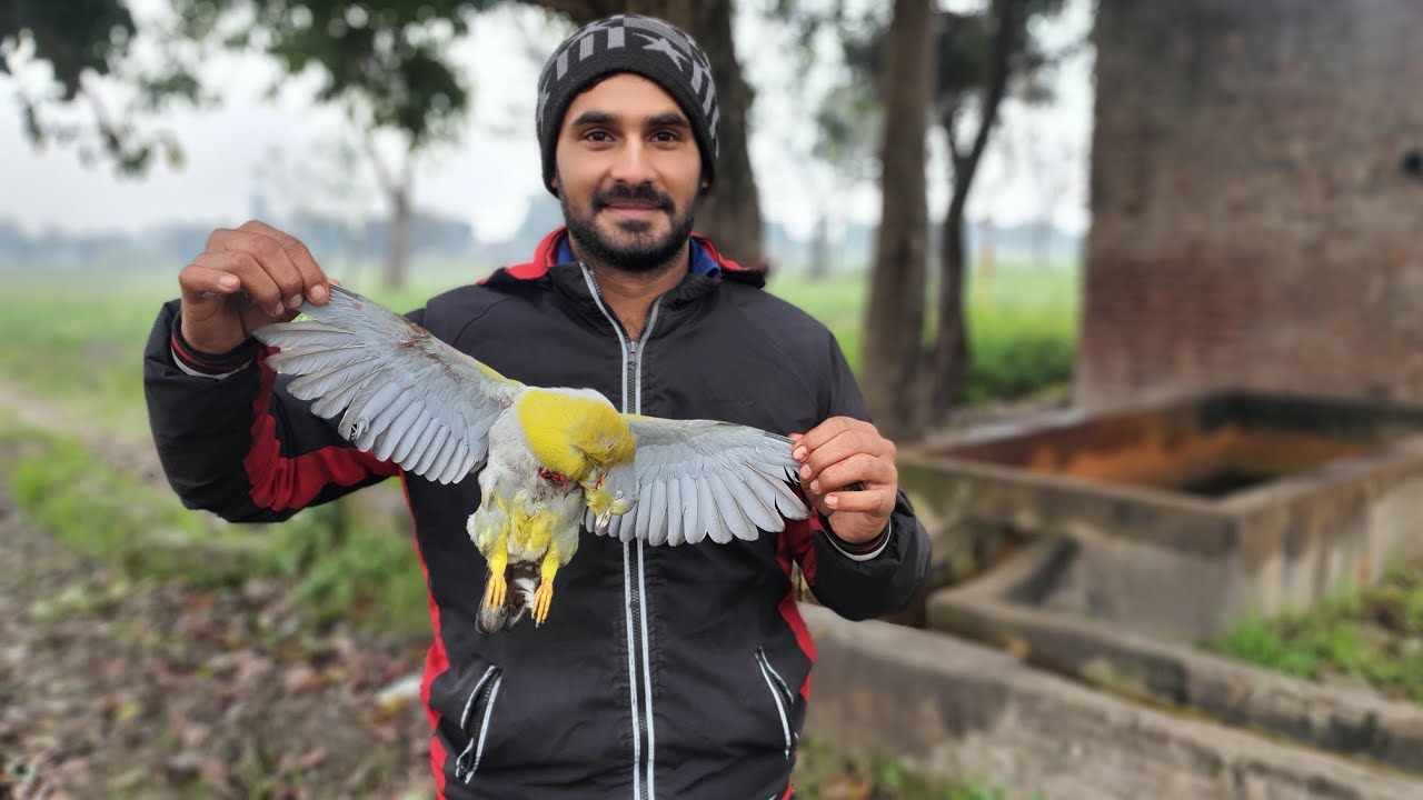 Slingshot Hunting Wild Birds Hunting In Pakistan 2023 YouTube slingshot-hunting-wild-birds-hunting-in-pakistan-2023-youtube