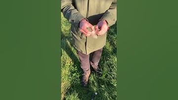 Can You Find The Geocache Ep8 Results Pt2 - 2 Foot Up