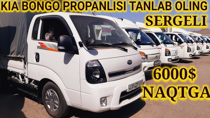 Sasha Grey eshakda becerdin oladi