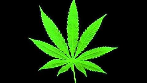 Circle of Contempt - C.O.C (original version, unmastered)