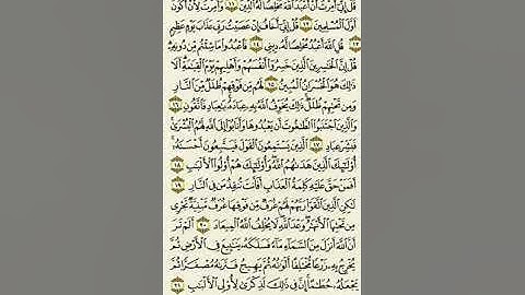 سورة الزمر من الآية ١١ إلى الآية ٢١بصوت القارئ ماهر المعيقلي