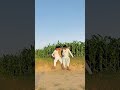Pani sa Nikla crocodile 🐊. Urdu/Hindi. #funny #100kvews #comedy #viralvideo #music