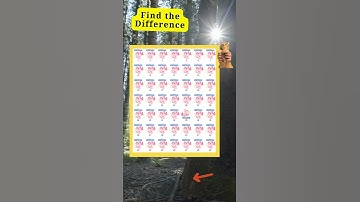 find the difference  #265 #hard #fun #easy