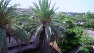 BECKERMUS Technologies - Presentation Movie (Updated)