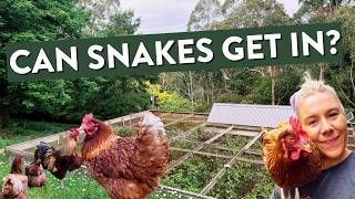 Do I Get Snakes in my Ultimate Chicken Coop 'Chicken City'? (Honest Answer After 12 Years)