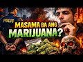 Is Marijuana Dangerous?