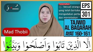 MENGURAI TAJWID SURAH AL BAQARAH AYAT 160-161 ARTINYA, CARA BACA & CONTOH PENGUCAPANNYA   EPS 301