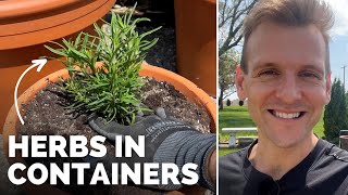 Planting Herbs in Containers + Herbs in my Raised Bed Garden | Gardening with Wyse Guide