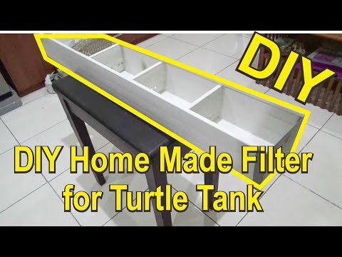 Video: Paano Piliin Ang Tamang Filter Ng Turtle Tank At Tank