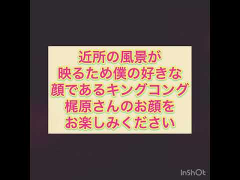 #33 ゲストと好きなポケモンの話