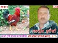 EP 171 : देसी मुर्गी पालन // DESI MURGI PALAN is live!
