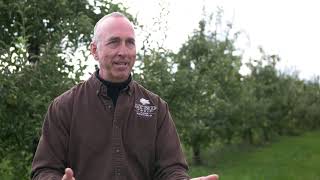 Celebrity Lynd's Apple Picking Process Profile