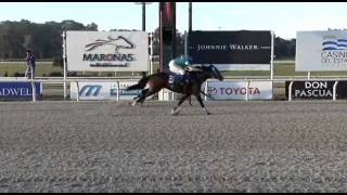 20140720 6 maroñas
