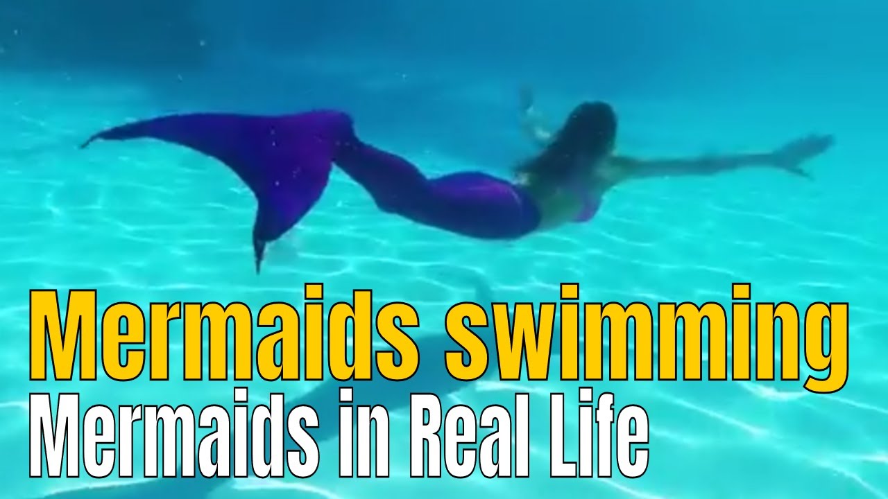 Mermaids swimming in Water @ Miss Mermaid 2017 - YouTube