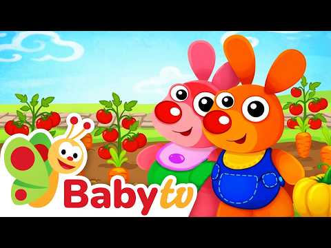 Kenny and Goorie Grow a Vegetable Garden | Learn About Veggies for Toddlers @BabyTV