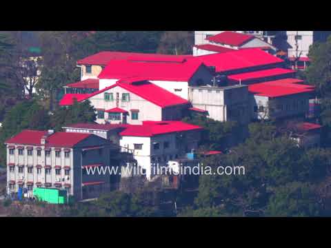 Wynberg-Allen school and Mussoorie Hillside | Uttarakhand, India