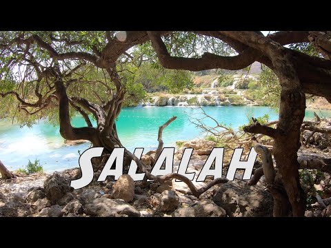 Don't miss these things to do around Salalah Oman!