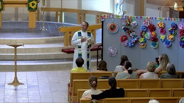 Plotinus (Tiny) the Pig - Eleventh Sunday after Pentecost 2024